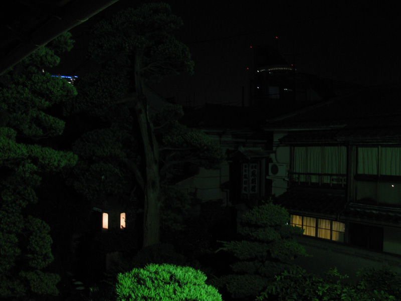 Vue nocturne sur le jardin depuis la cour de l’hôtel